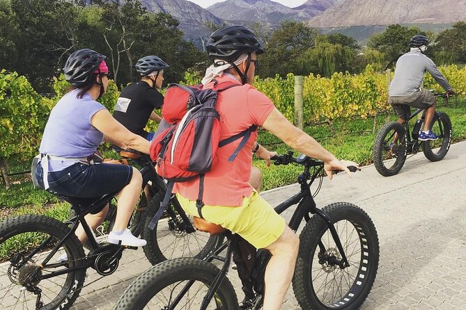 Franschhoek E-Bike Wine Tour (Half Day) - The guide can shape the whole afternoon