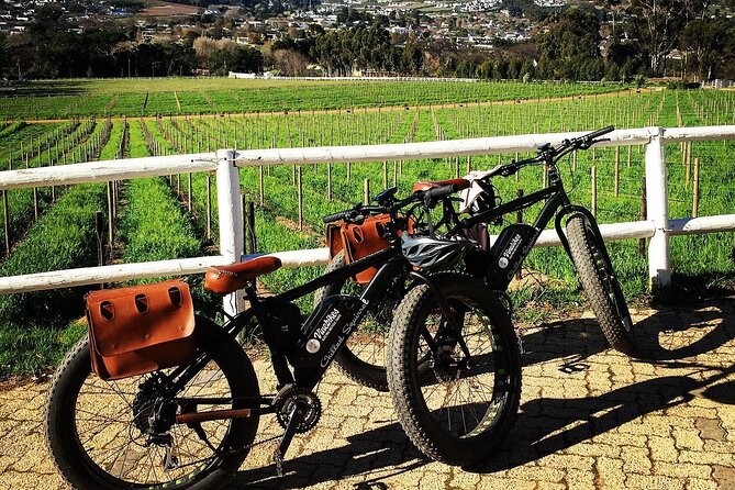 Franschhoek E-Bike Wine Tour (Half Day) - What the $69.26 price really covers
