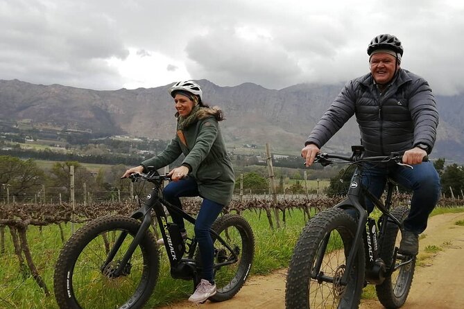 Franschhoek E-Bike Wine Tour (Half Day) - Morning or afternoon: choosing your timing