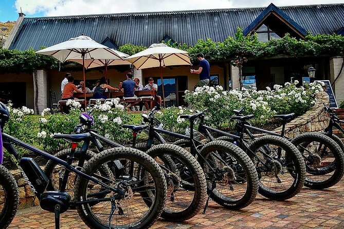 Franschhoek E-Bike Wine Tour (Half Day) - Who will enjoy this Franschhoek e-bike tour?