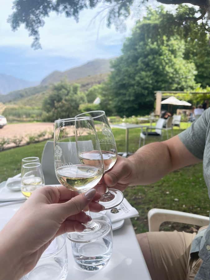 Franschhoek E-Bike & Wine Tour - Starting at Old Road Wine Co.