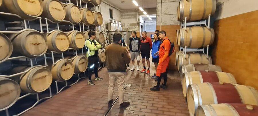 Frascati: Tour in E-Bike with Wine Tasting - Frascati Superiore at a local winery