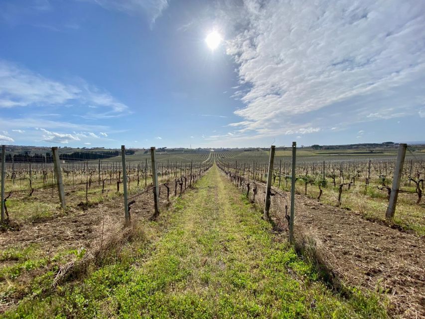 Frascati: Tour in E-Bike with Wine Tasting - How much exercise should you expect?
