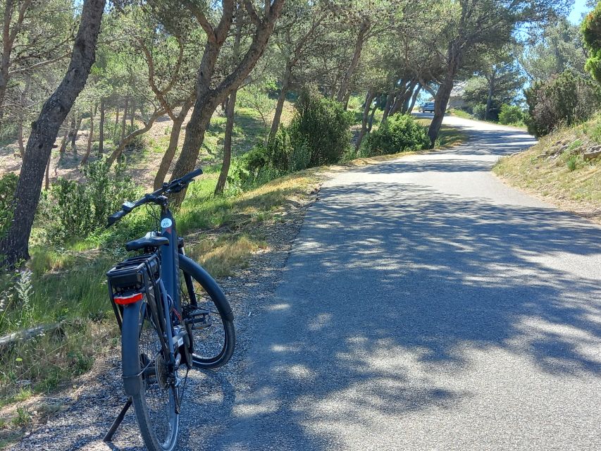 From Aix-en-Provence: Luberon Region E-Bike Full-Day tour - Riding through vineyards, olives, and lavender