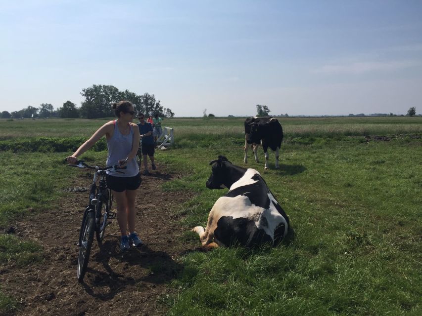 From Amsterdam: Countryside Bike Tour - Key points to know before you book