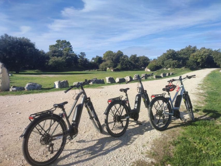From Avignon: Full-Day E-Bike Tour in the Luberon Region - Starting from Avignon and reaching Bonnieux