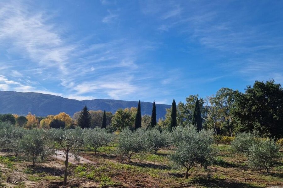 From Avignon: Full-Day E-Bike Tour in the Luberon Region - Lacoste Castle and the best high view