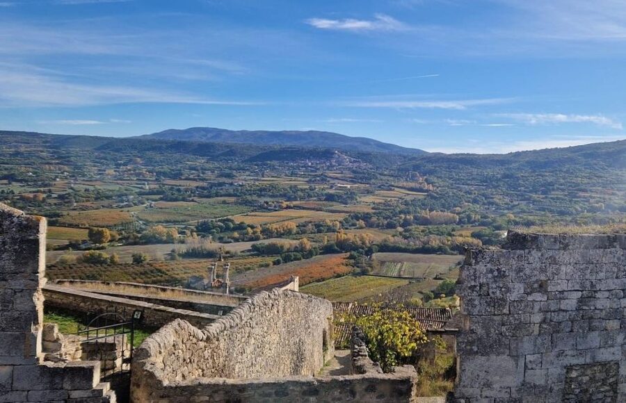 From Avignon: Full-Day E-Bike Tour in the Luberon Region - How much value do you get for $187?