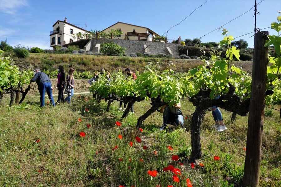 From Barcelona: E-Bike and Sailing Tour with Wine Tastings - The return to Port Masnou and the sea