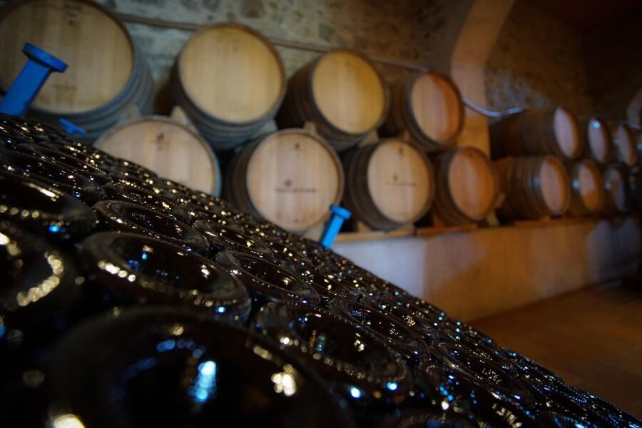 From Barcelona: E-Bike and Sailing Tour with Wine Tastings - What the $100 price includes