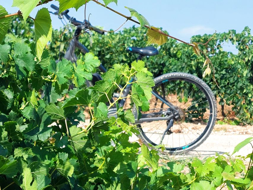 From Barcelona: Penedès E-Bike Tour with 2 Winery Visits - Why Penedès works so well as a day trip