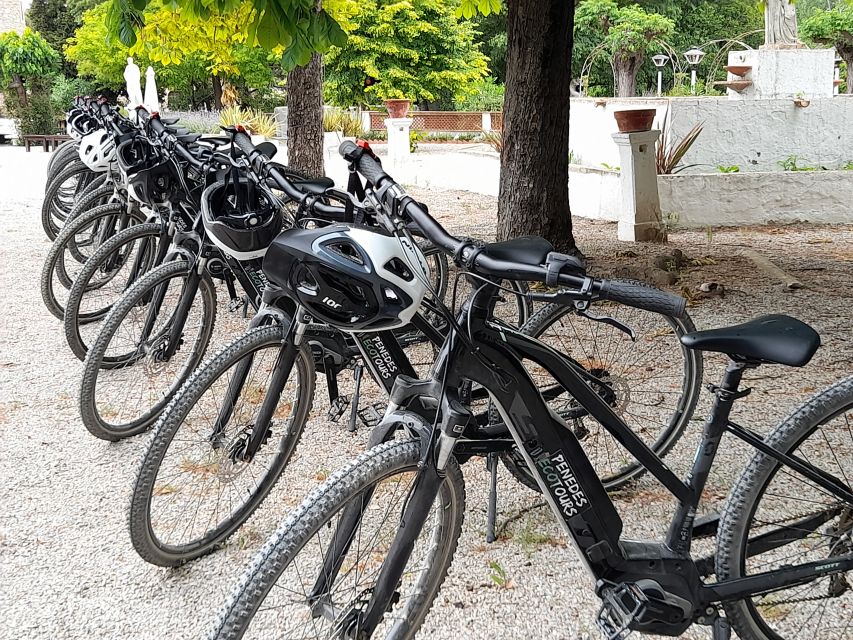 From Barcelona: Penedès E-Bike Tour with 2 Winery Visits - Riding beneath the Montserrat massif