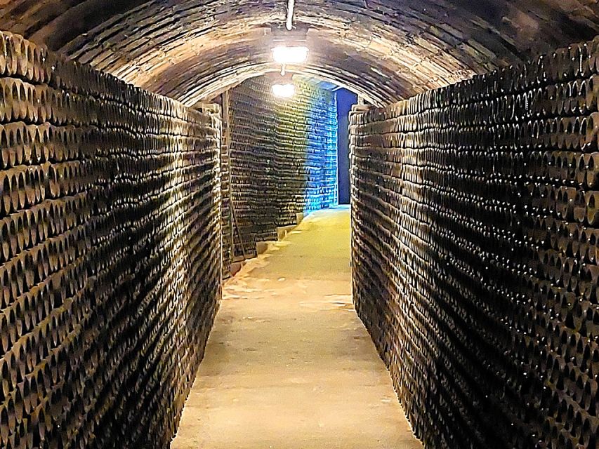 From Barcelona: Penedès E-Bike Tour with 2 Winery Visits - The first winery: natural and biodynamic wines