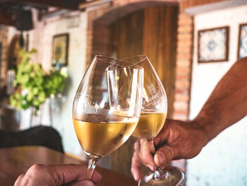From Barcelona: Penedès E-Bike Tour with 2 Winery Visits - What the small group changes