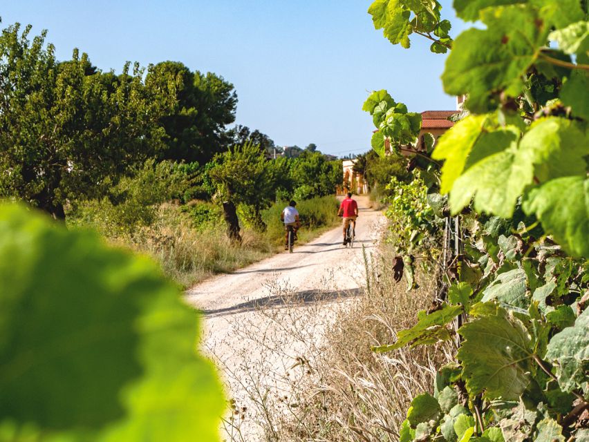 From Barcelona: Penedès E-Bike Tour with 2 Winery Visits - Picking the right bicycle for the route