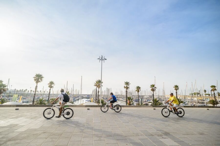 From Barcelona: Private Alella Wine Tour by Electric Bike - Should you book the private Alella wine tour?