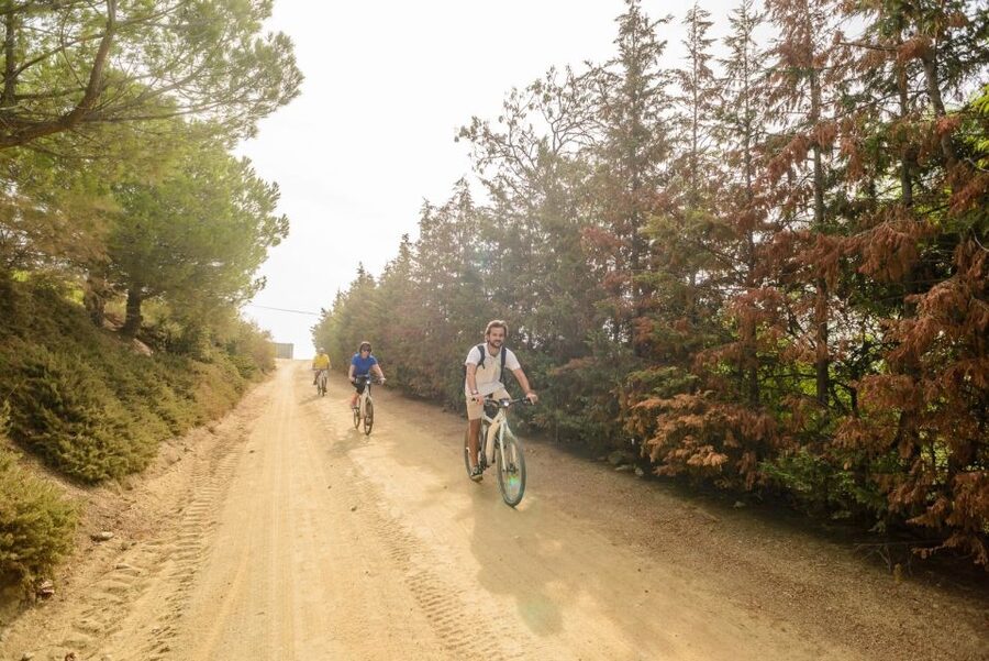 From Barcelona: Private Alella Wine Tour by Electric Bike - A picnic with views instead of a formal lunch