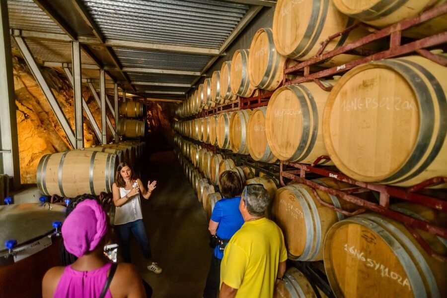 From Barcelona: Private Alella Wine Tour by Electric Bike - Who will enjoy this Alella outing most?