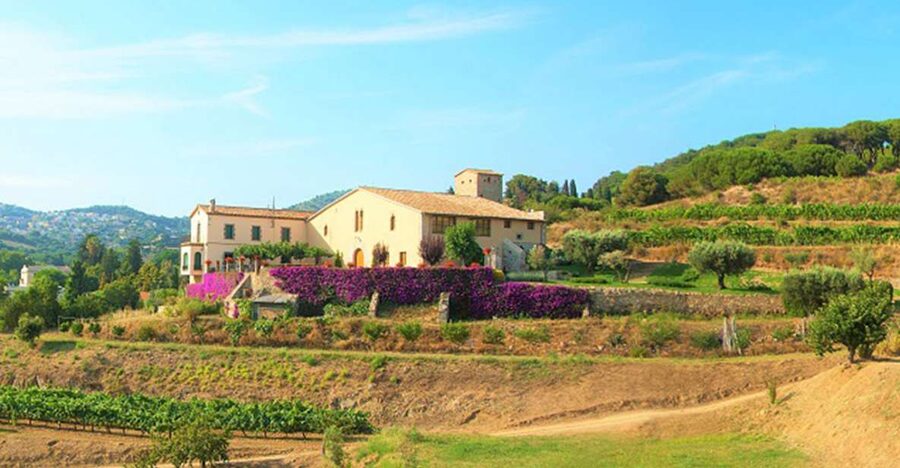 From Barcelona: Private Alella Wine Tour by Electric Bike - What the 20-kilometer ride is really like