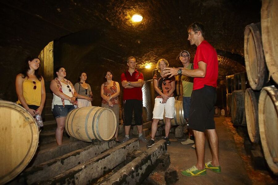 From Beaune: Full-Day Bicycle and Wine Tour in Burgundy - Why a bicycle is the right way to see Côte de Beaune