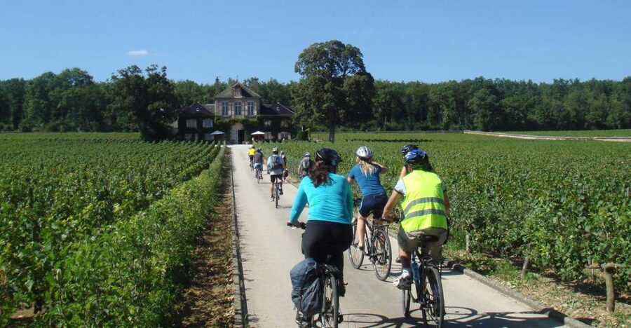 From Beaune: Full-Day Bicycle and Wine Tour in Burgundy - La Rochepot and the morning ride