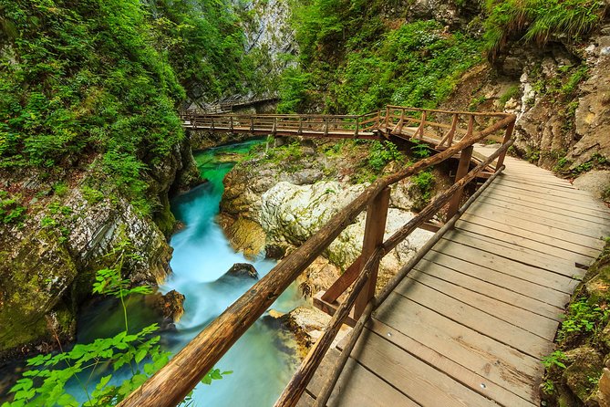From Bled: Self-Guided E-Bike Tour to Vintgar Gorge - Entering Vintgar Gorge on a fixed appointment