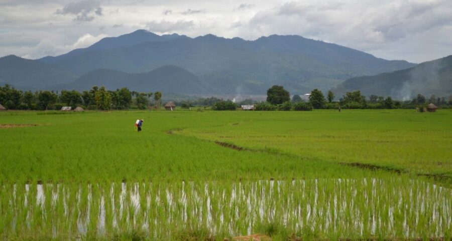 From Chiang Mai: Mae Taeng Valley and Waterfalls Cycle Tour - Wat Ban Den and the temple stop
