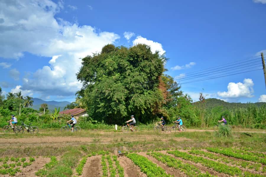 From Chiang Mai: Mae Taeng Valley Hike & Bike Day Trip - Who will get the most from this outing?