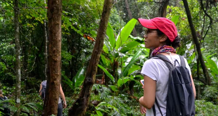 From Chiang Mai: Mae Taeng Valley Hike & Bike Day Trip - Three hours on the Mae Taeng hill trails