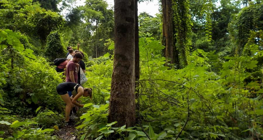 From Chiang Mai: Mae Taeng Valley Hike & Bike Day Trip - Wat Ban Den and the return to Chiang Mai
