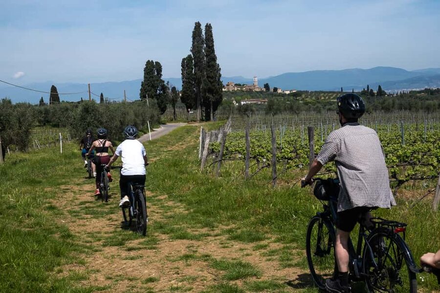 From Florence: Tuscan Hills Biking with Farm Tour and Lunch - The Family Farm in Chianti Classico