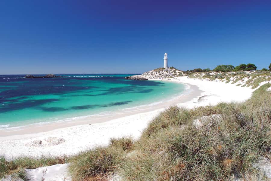 From Fremantle: Rottnest Island Ferry and Bike Day Tour - What the nine-hour timetable really gives you