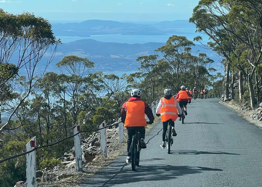 From Hobart: Mt Wellington Summit & Rainforest Bike Tour - Key points before you book
