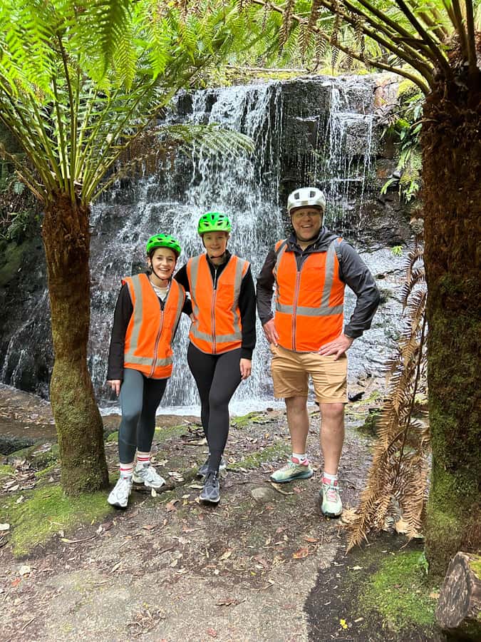 From Hobart: Mt Wellington Summit & Rainforest Bike Tour - Why this ride makes sense in Hobart