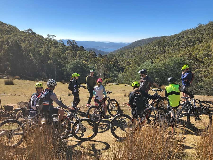 From Hobart: Mt Wellington Summit & Rainforest Bike Tour - The minibus climb to 1,270 metres