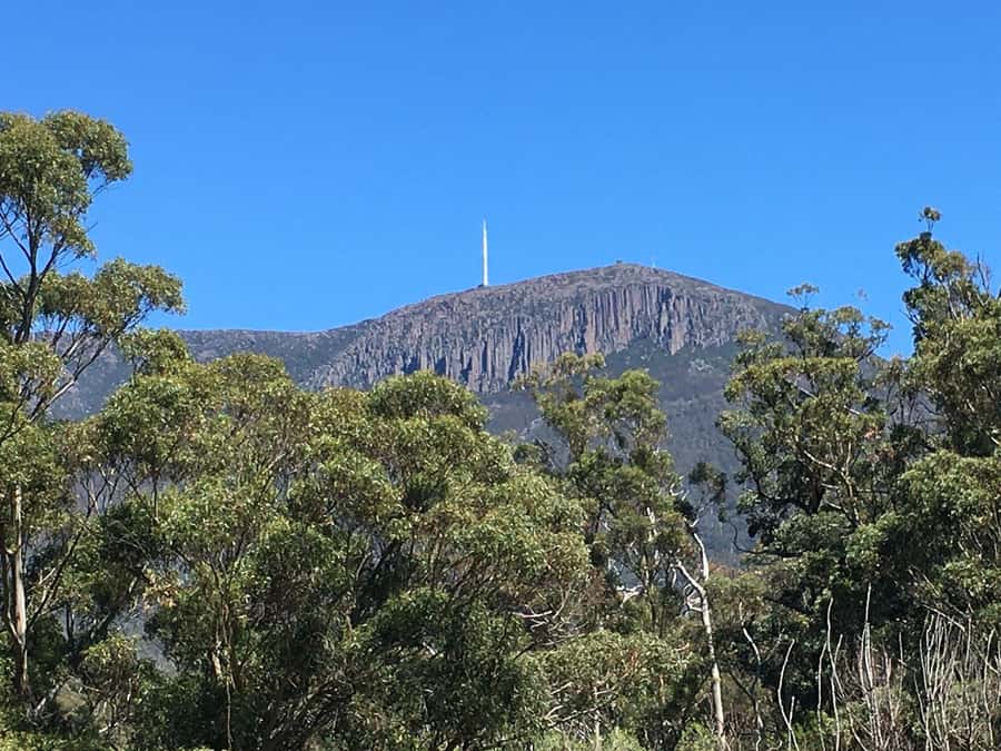 From Hobart: Mt Wellington Summit & Rainforest Bike Tour - The 11-kilometre rainforest ride