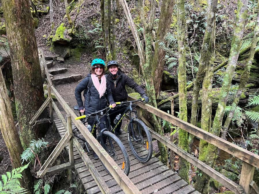 From Hobart: Mt Wellington Summit & Rainforest Bike Tour - Guides who shape the experience