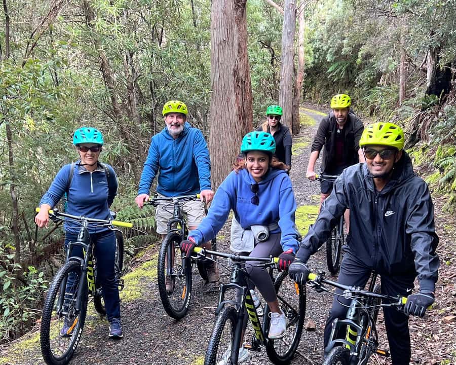 From Hobart: Mt Wellington Summit & Rainforest Bike Tour - Who should book this ride