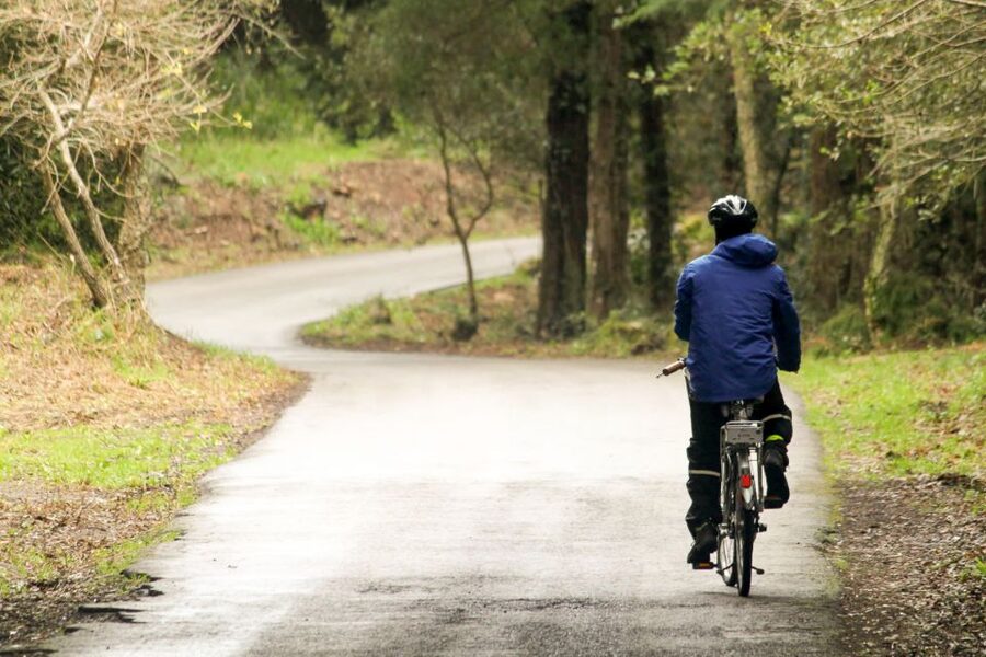 From Lisbon: Sintra to Cascais Full-Day Guided E-Bike Tour - Sintra’s palaces, forests, and steep roads