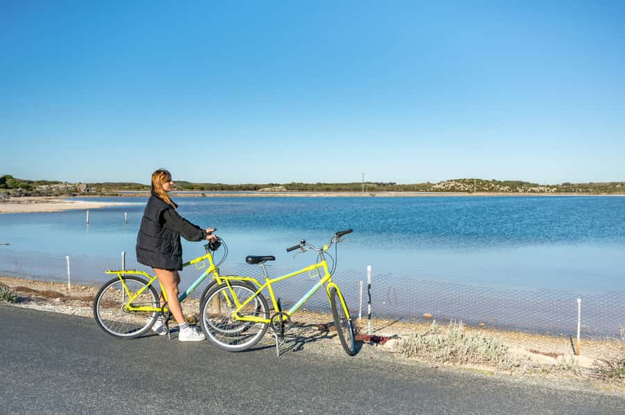 From Perth: Rottnest Island Full-Day Bike and Ferry Trip - Key points to know before booking