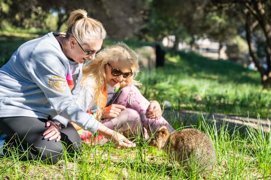 From Perth: Rottnest Island Full-Day Bike and Ferry Trip - The 45-minute ferry to Rottnest Island