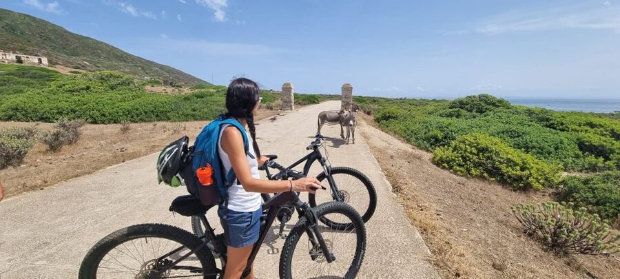 From Porto Torres: E-Bike Rental - Key points to know before you book