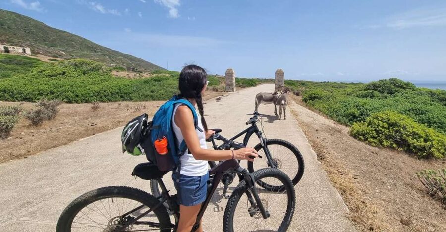 From Porto Torres: E-Bike Rental - Collecting the bike and choosing your route