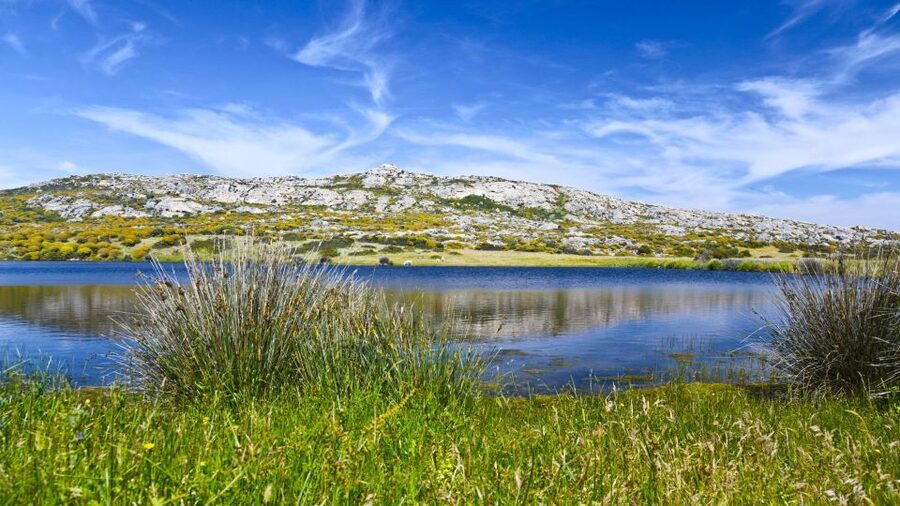 From Porto Torres: E-Bike Rental - Making your own day in Asinara National Park