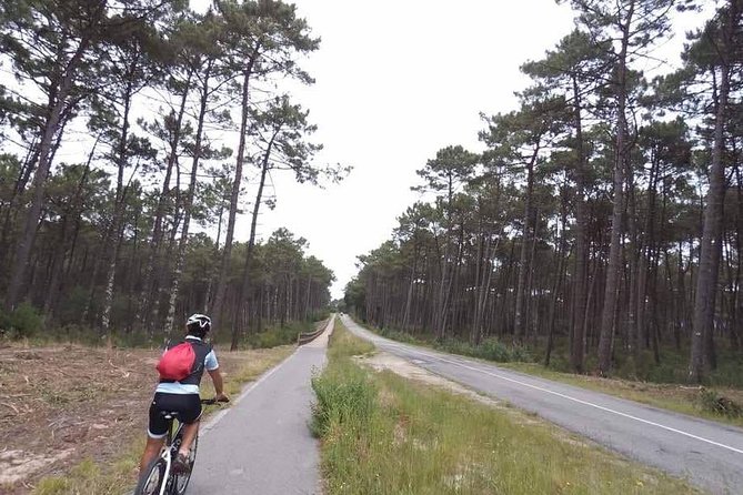 From Porto with view to Gaia: Private Bike Tour #DuckSideOfPorto - Drinks, food, and what to plan