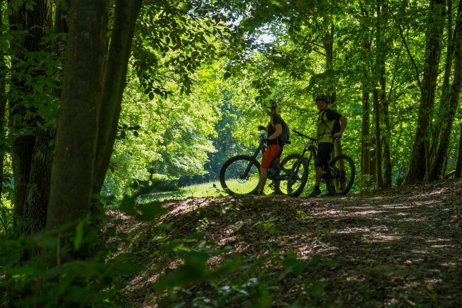 From Prague: E-Mountain Biking Trip to the Bohemian Paradise - Two more castles before the finish