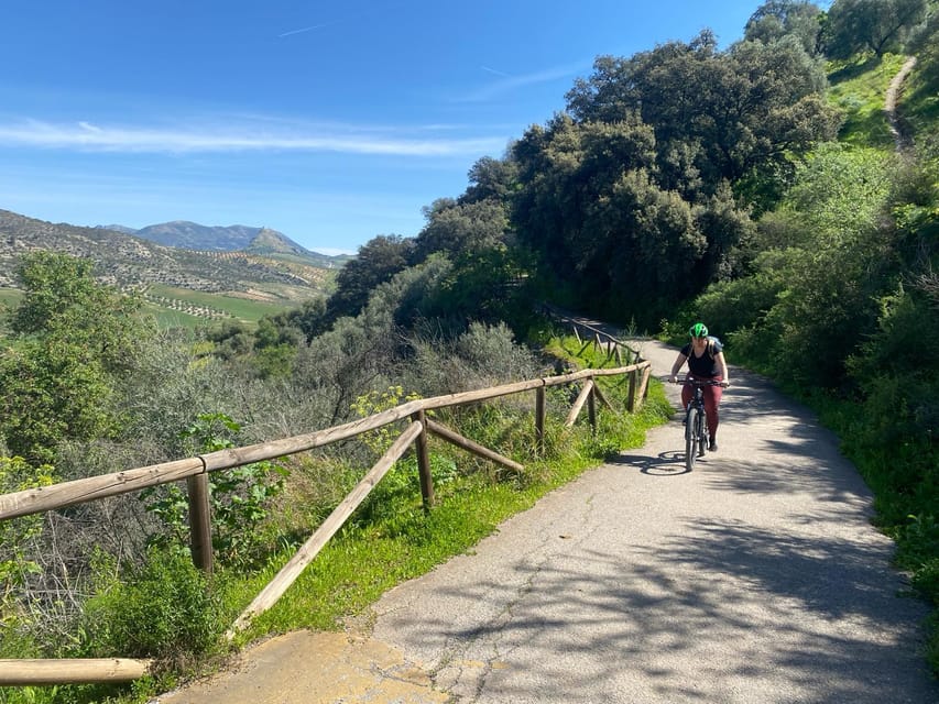 From Ronda: Via Verde de la Sierra Easy Cycling Tour - Should you book the Via Verde de la Sierra ride?