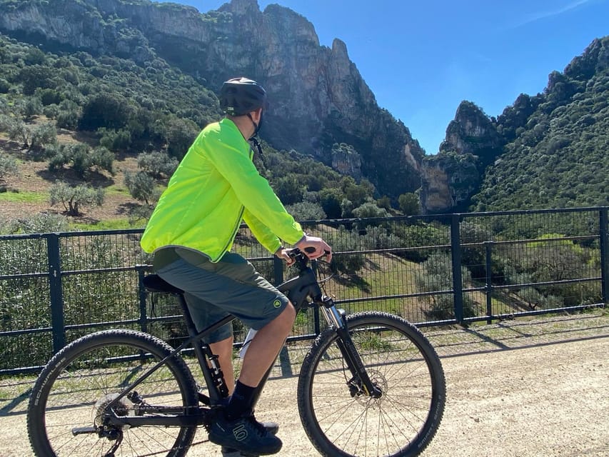 From Ronda: Via Verde de la Sierra Easy Cycling Tour - Olive groves, farmland, and Sierra de Cadiz views