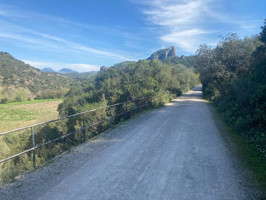 From Ronda: Via Verde de la Sierra Easy Cycling Tour - What the support van really adds