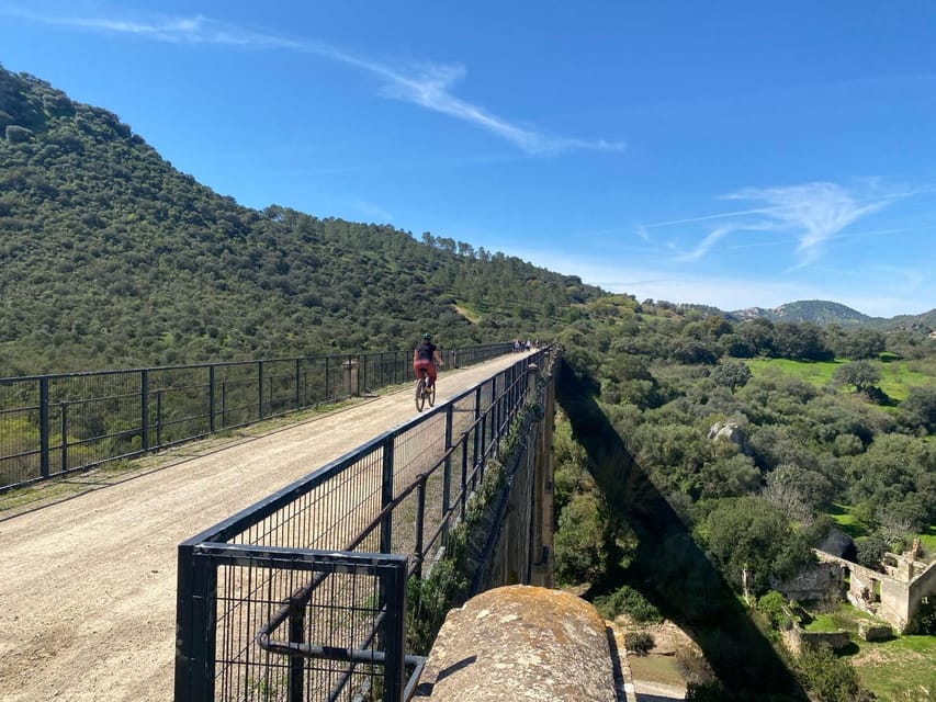 From Ronda: Via Verde de la Sierra Easy Cycling Tour - Who should book this ride?